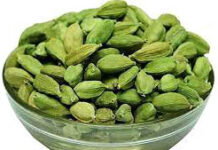 Cardamom | Indian Cardamom Indian Cardamom
