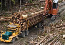 Deforestation | Meaning | Definition Deforestation Deforestation Meaning Deforestation Definition