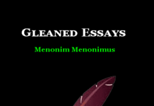 Gleaned Essays | Gleaned Essays by Menonimus Gleaned Essays