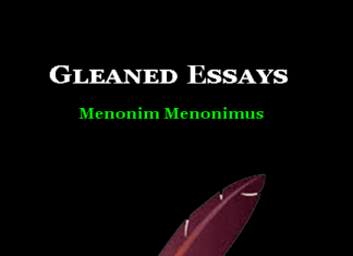 Gleaned Essays | Gleaned Essays by Menonimus Gleaned Essays