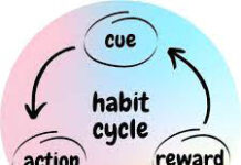 Habit | Meaning | Definition Habit Habit Meaning Habit Definition