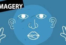 Imagery | Classification of Imagery Classification of Imagery