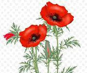 International Quiz International Quiz