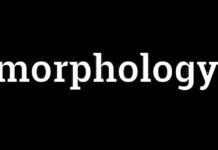 Morphology | Meaning | Definition Morphology Morphology Meaning Morphology Definition