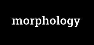 Morphology Morphology Meaning Morphology Definition