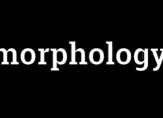 Morphology | Meaning | Definition Morphology Morphology Meaning Morphology Definition