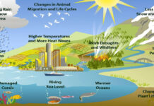 Natural Resource | Meaning | Definition Natural Resource Natural Resource Meaning Natural Resource Definition