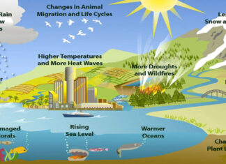 Natural Resource | Meaning | Definition Natural Resource Natural Resource Meaning Natural Resource Definition