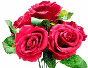 Quiz An Anthology Quiz An Anthology