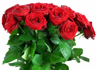 Quiz Miscellany Quiz Miscellany