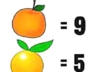 Riddle | Meaning | Definition Riddle Riddle Meaning Riddle Definition