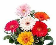 Select Quiz Select Quiz