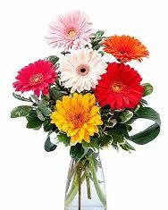 Select Quiz Select Quiz