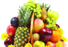 Vegetable | Meaning | Definition Vegetable Vegetable Meaning Vegetable Definition