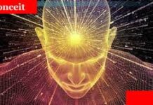 Conceit Meaning Definition Classification & Example Conceit Meaning Definition Classification & Example