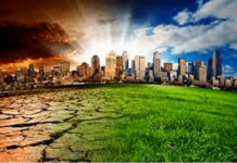 Global Warming | Global Warming Essay Global Warming Essay