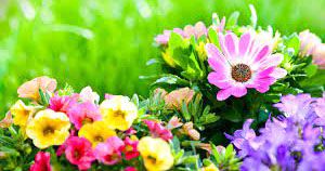 Parshuram Sonowal-Brief Life Sketch Parshuram Sonowal-Brief Life Sketch