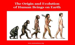 The Origin and Evolution of Human Beings on Earth