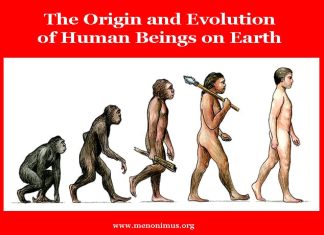 The Origin and Evolution of Human Beings on Earth The Origin and Evolution of Human Beings on Earth