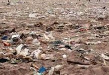 Soil Pollution | An Essay Soil Pollution An Essay