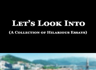 Let’s Look Into | Hilarious Essays Let’s Look Into
