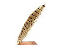 Luis Borges Acevedo | Brief Biography Luis Borges Acevedo Brief Biography