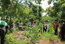 The Advantages of Living With Animals The Advantages of Living With Animals