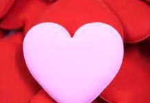 42nd Love Letter to Liza 42nd Love Letter to Liza