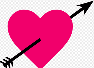 43rd Love Letter to Liza 43rd Love Letter to Liza