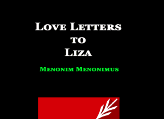 Love Letters to Liza Love Letters to Liza