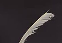 The Functions of Literature The Functions of Literature