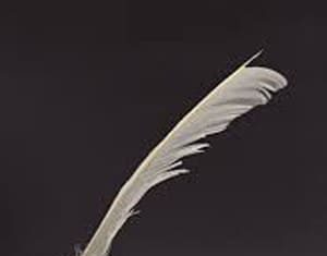 The Functions of Literature The Functions of Literature