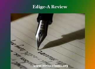 Edige-A Review Edige-A Review