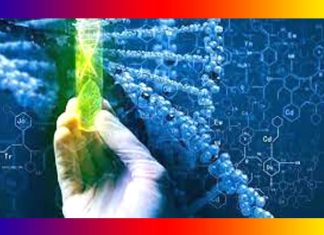 Biotechnology Biotechnology