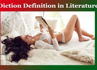Diction Definition in Literature Diction Definition in Literature