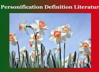 Personification Definition Literature Personification Definition Literature
