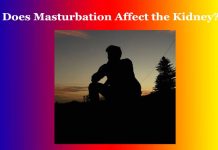 Does Masturbation affect the Kidney? Does Masturbation affect the Kidney