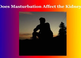 Does Masturbation affect the Kidney? Does Masturbation affect the Kidney