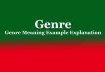 Genre | Genre Meaning Example Explanation Genre Genre Meaning Example Explanation