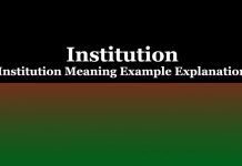 Institution | Institution Meaning Example Explanation Institution Institution Meaning Example Explanation