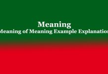 Meaning | Meaning of Meaning Example Explanation Meaning Meaning of Meaning Example Explanation