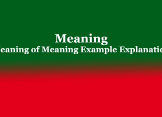 Meaning | Meaning of Meaning Example Explanation Meaning Meaning of Meaning Example Explanation