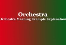 Orchestra | Orchestra Meaning Example Explanation Orchestra Orchestra Meaning Example Explanation
