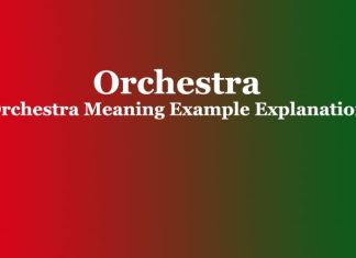 Orchestra | Orchestra Meaning Example Explanation Orchestra Orchestra Meaning Example Explanation