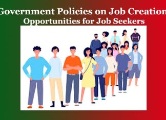 Analyzing the Impact of Government Policies on Job Creation: Opportunities for Job Seekers Analyzing the Impact of Government Policies on Job Creation Opportunities for Job Seekers