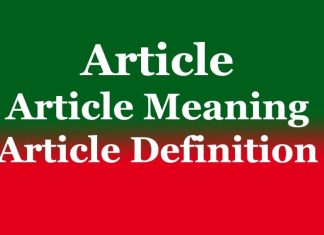 Article | Article Meaning | Article Definition Article Article Meaning Article Definition