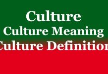 Culture | Culture Meaning | Culture Definition Culture Culture Meaning Culture Definition