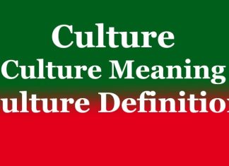 Culture | Culture Meaning | Culture Definition Culture Culture Meaning Culture Definition