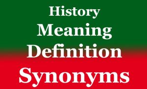 Holistic | Holistic Meaning Definition Synonyms - Menonimus