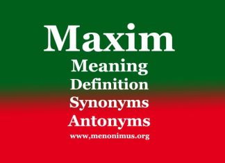 Maxim Maxim